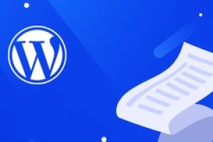 付费购买实物商品效果演示